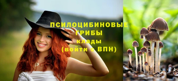 соль курить ск Лабытнанги