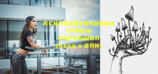 МДМА Елизово