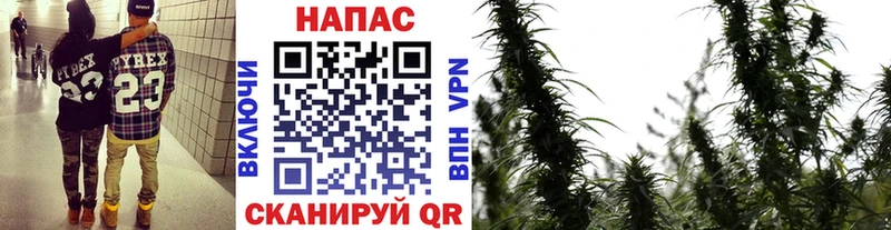 Бошки марихуана Amnesia  Знаменск 